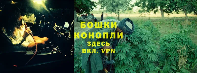 купить закладку  Сковородино  МАРИХУАНА Ganja 